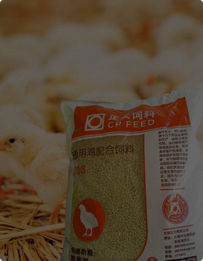  企业简介  