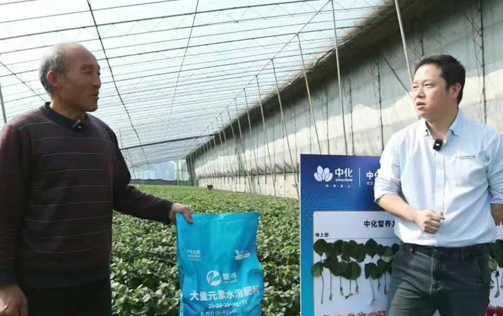 一定发(中国区)官方网站