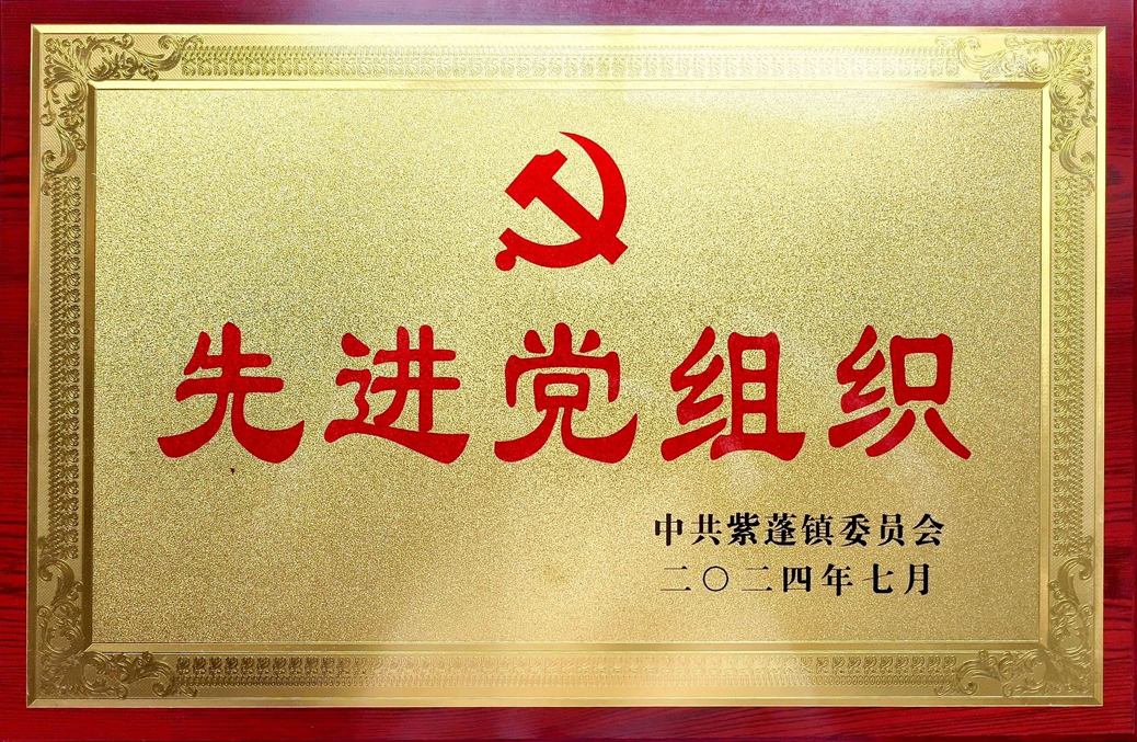 一定发(中国区)官方网站