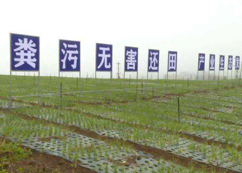 一定发(中国区)官方网站